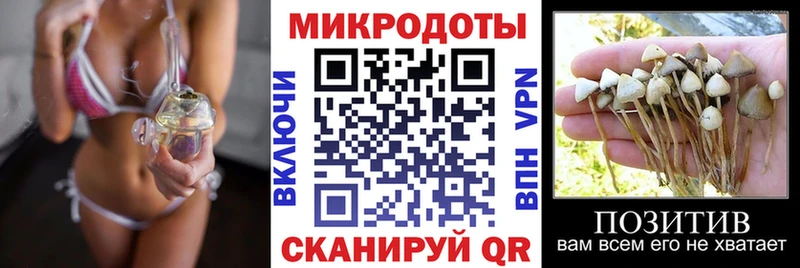 цены   Миллерово  Псилоцибиновые грибы Psilocybe 